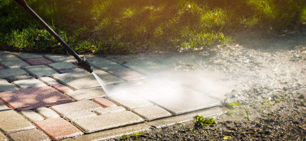Best Driveway Pressure Washing  in Belle Isle, FL